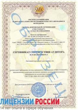 Образец сертификата соответствия аудитора №ST.RU.EXP.00006191-3 Верхняя Пышма Сертификат ISO 50001