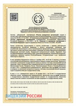 Приложение к сертификату для ИП Верхняя Пышма Сертификат СТО 03.080.02033720.1-2020